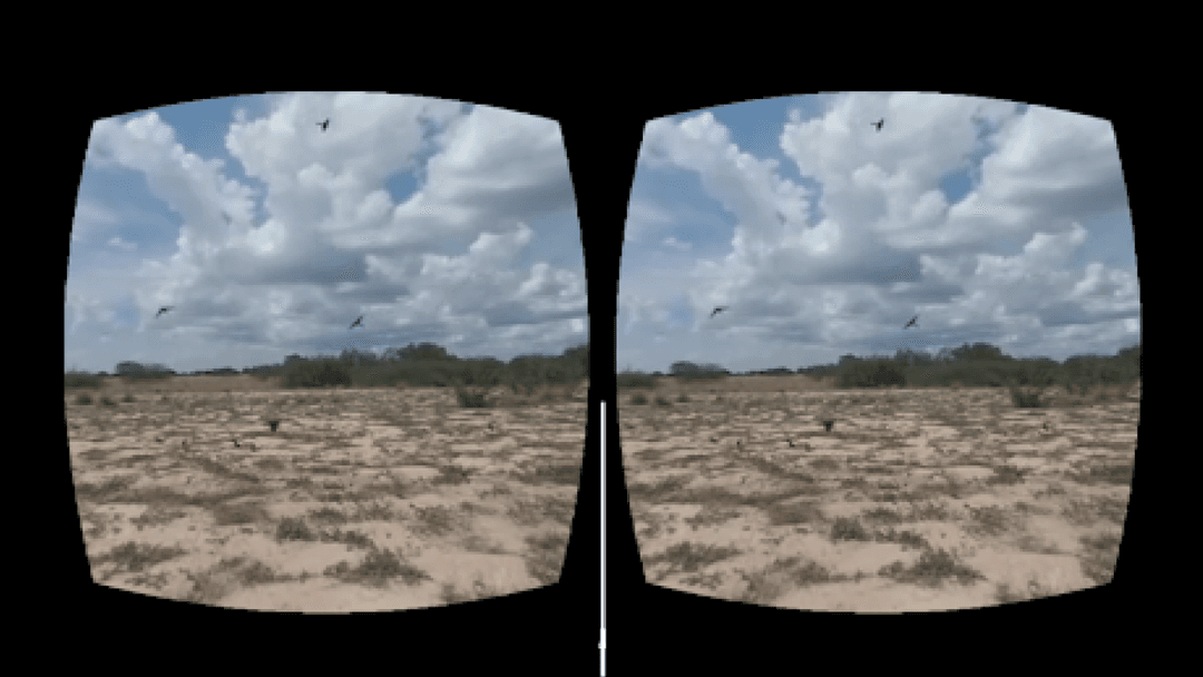 360 vr viewer app